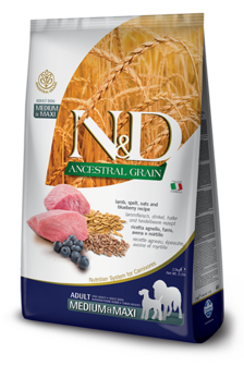 N&amp;D Ancestral Grain Lam, Spelt, Haver &amp; Bosbes Adult Medi/Maxi 12kg